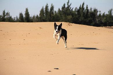 《微软飞行模拟》现已免费追加《壮志凌云2》DLC